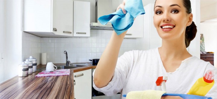 Doméstico: Conselho publica resolução sobre FGTS